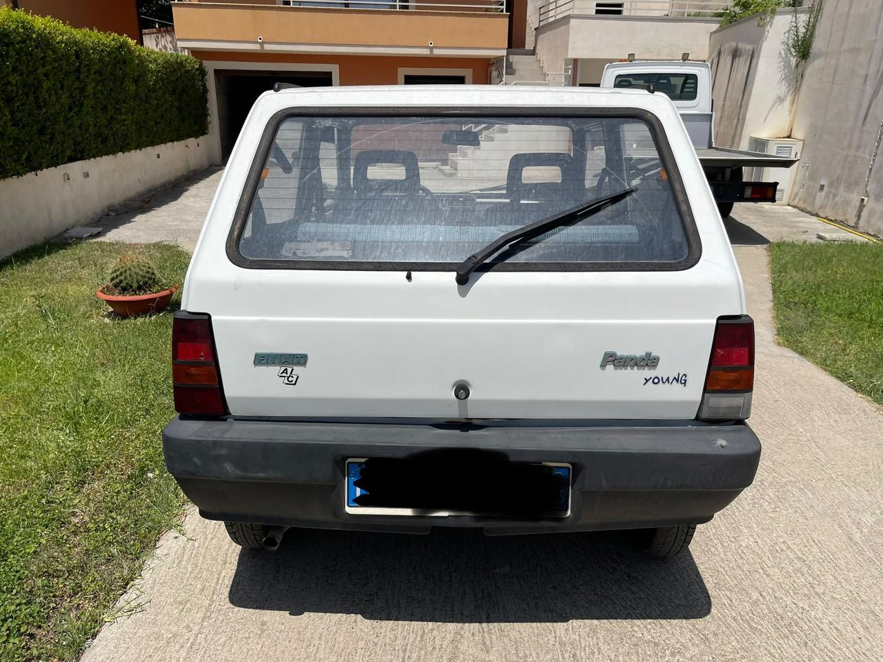 Fiat Panda 900 i.e. cat Young
