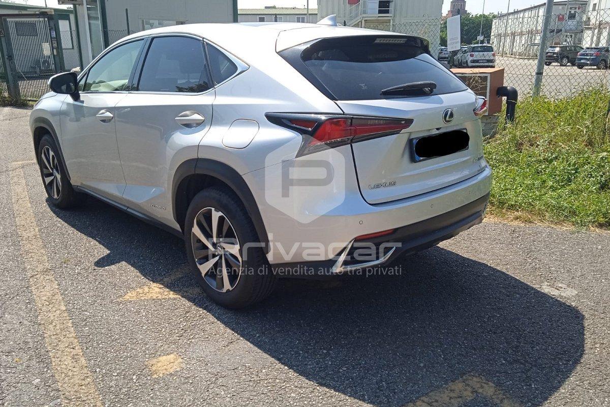 LEXUS NX Hybrid 4WD Luxury