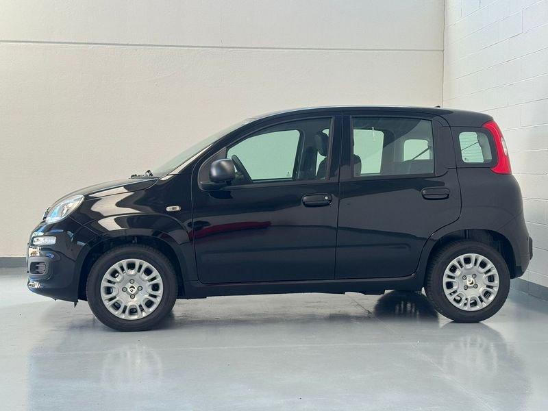 FIAT Panda Panda 1.0 FireFly S&S Hybrid Icon