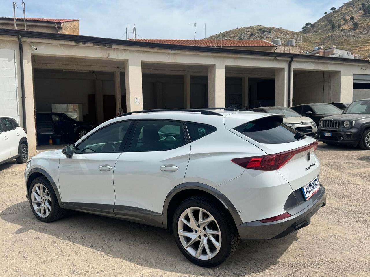 Cupra Formentor 2.0 TDI 4Drive DSG
