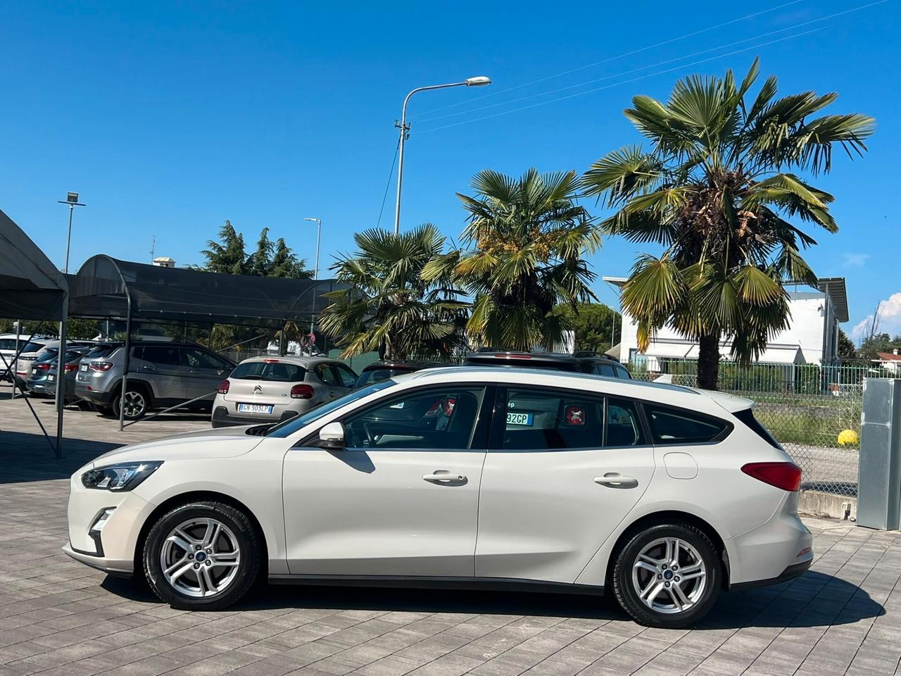 Ford Focus 1.5 EcoBlue 120 CV automatico SW Business