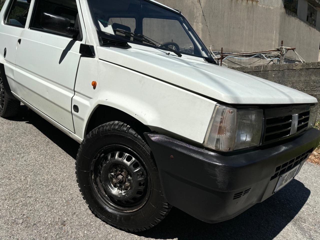 Fiat Panda 900 i.e. cat Young