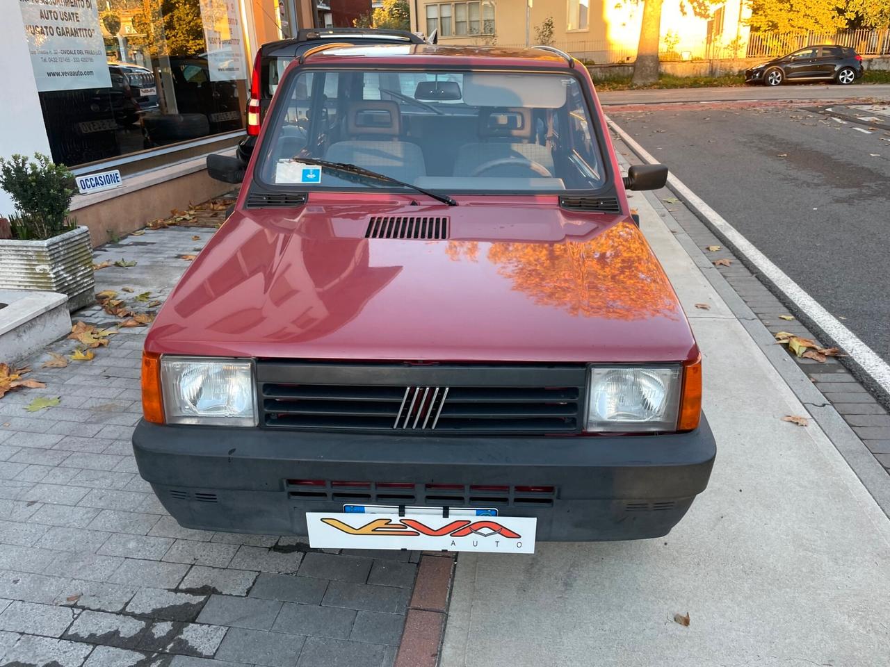 Fiat Panda 1100 i.e. cat Young