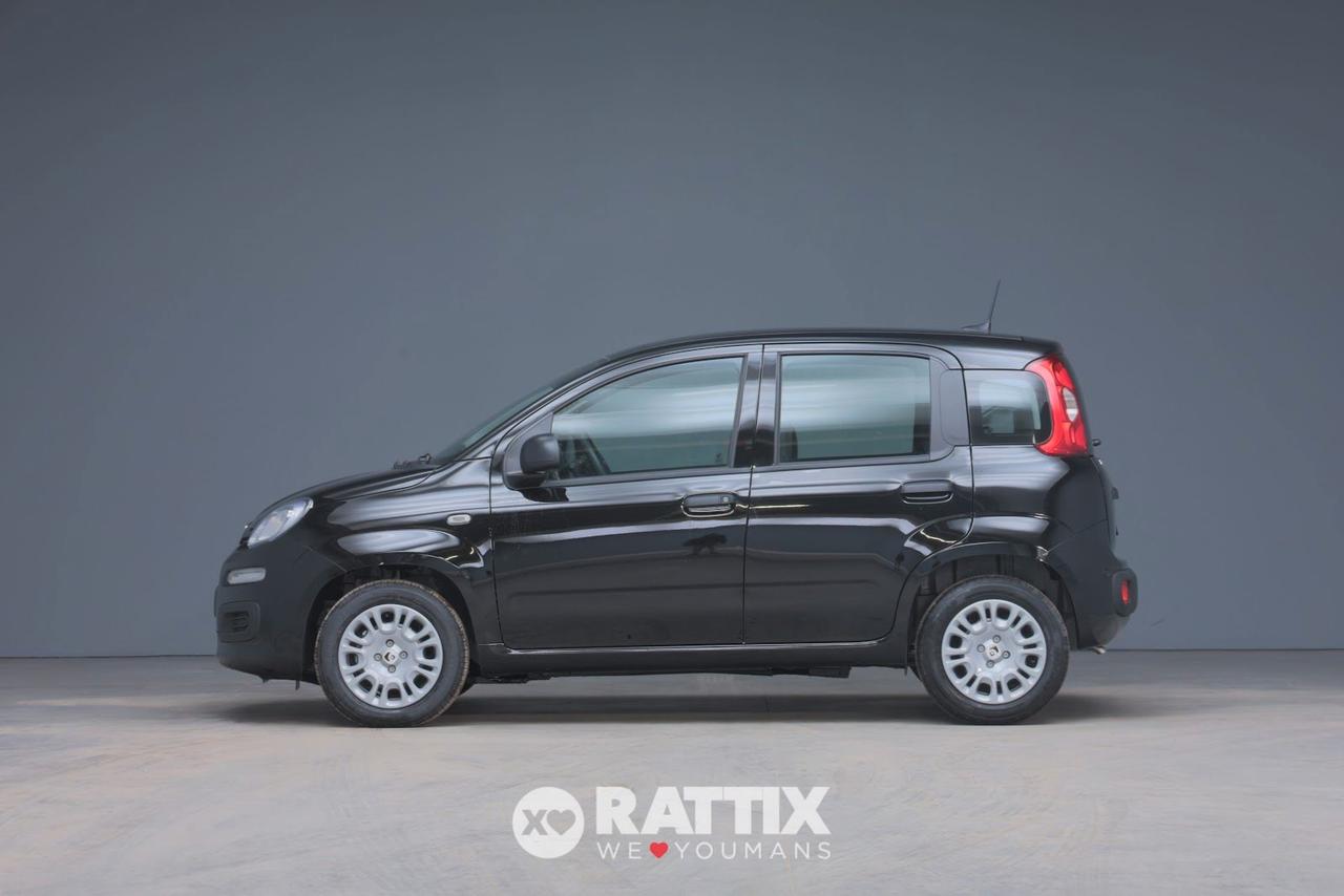 Fiat Panda Pandina 1.0 Firefly Hybrid 70CV Icon 5p.ti