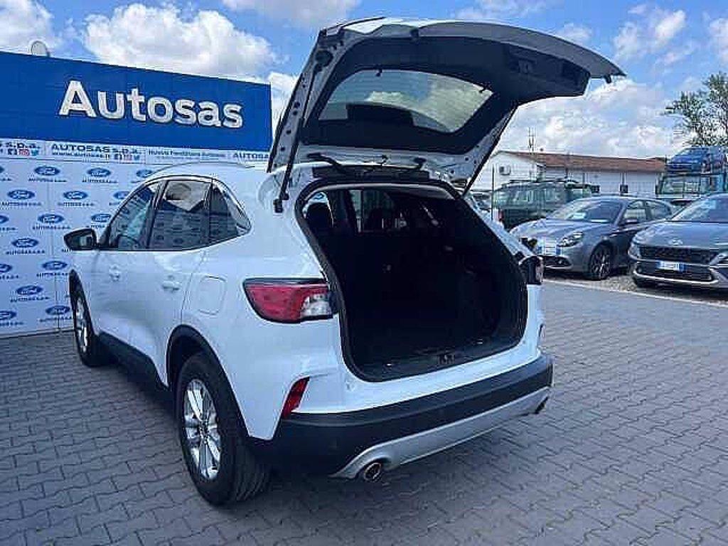 FORD Kuga 1.5 EcoBlue 120 CV 2WD Titanium Business del 2021