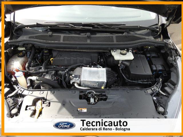 FORD S-Max 2.0 EcoBlue 190CV 7posti Titanium Business