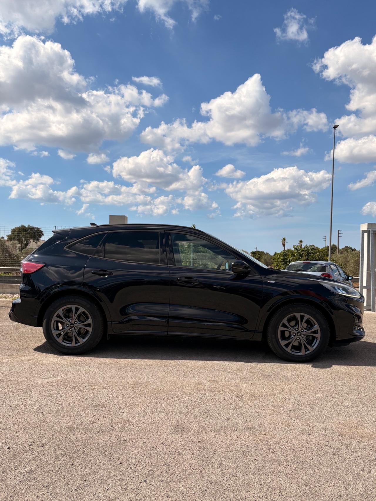 Ford Kuga 1.5 EcoBlue 120 CV 2WD ST-Line