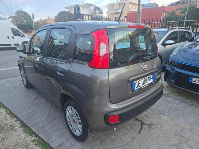 FIAT Panda 1.0 FireFly S&S Hybrid Eas 5 posti no obbligo fina