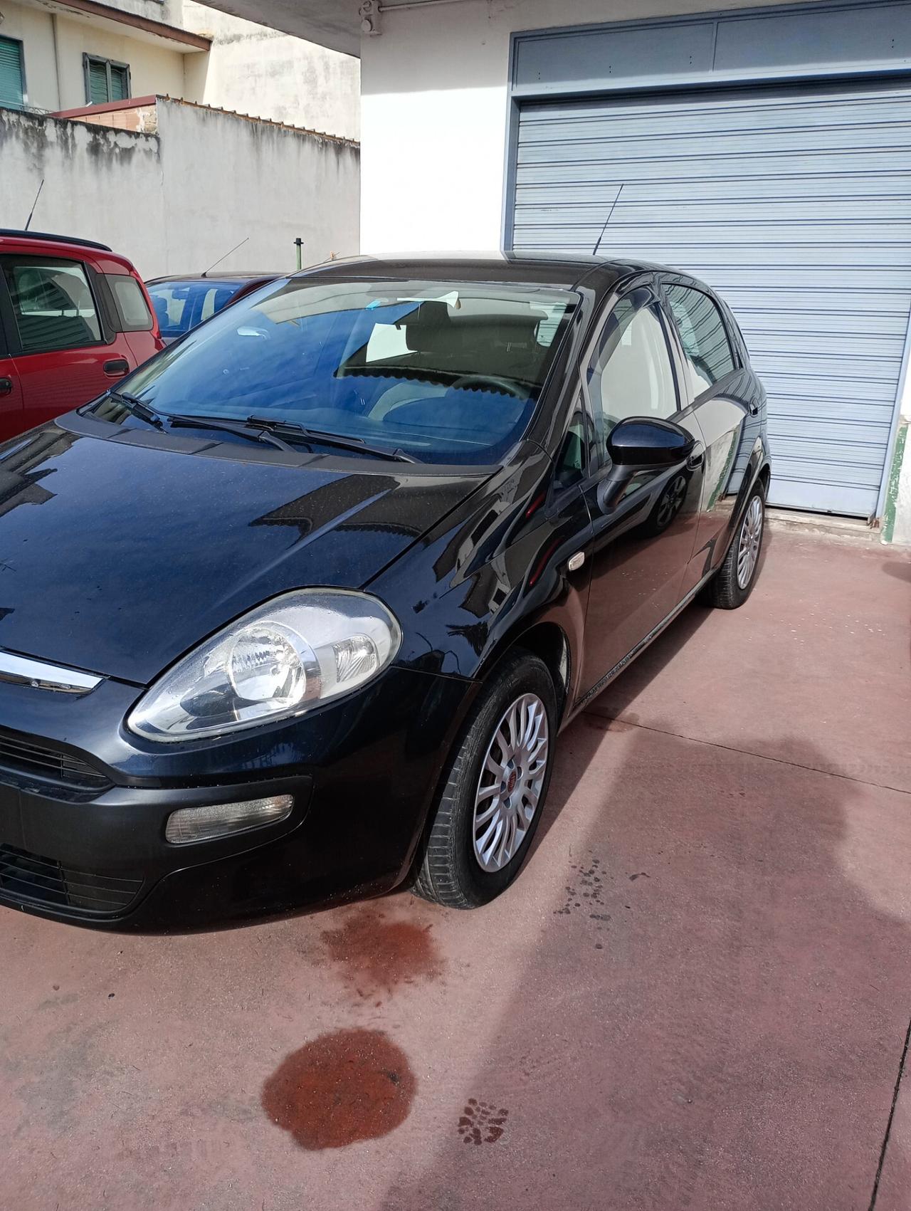 Fiat Punto Evo Punto Evo 1.2 5 porte Dynamic GPL