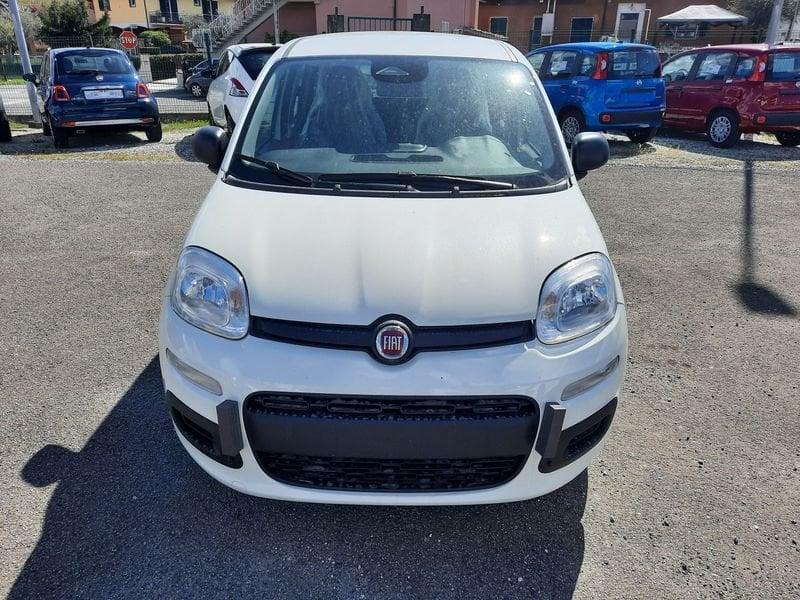 FIAT Pandina 1.0 FireFly 65cv S&S 6m Hybrid Icon