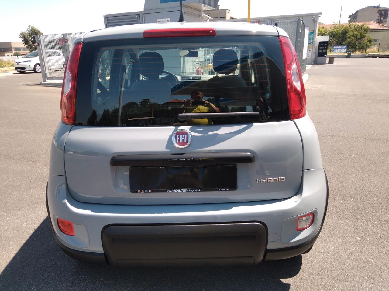 Fiat Panda 1.0 70cv FireFly S&S Hybrid x neopatentati