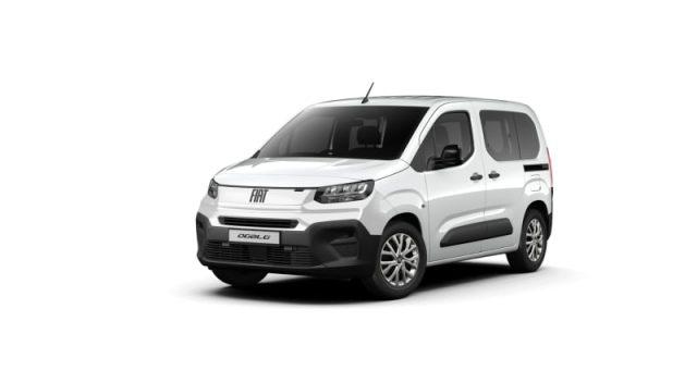 FIAT Doblo Doblò 1.2 110 CV PL Entry