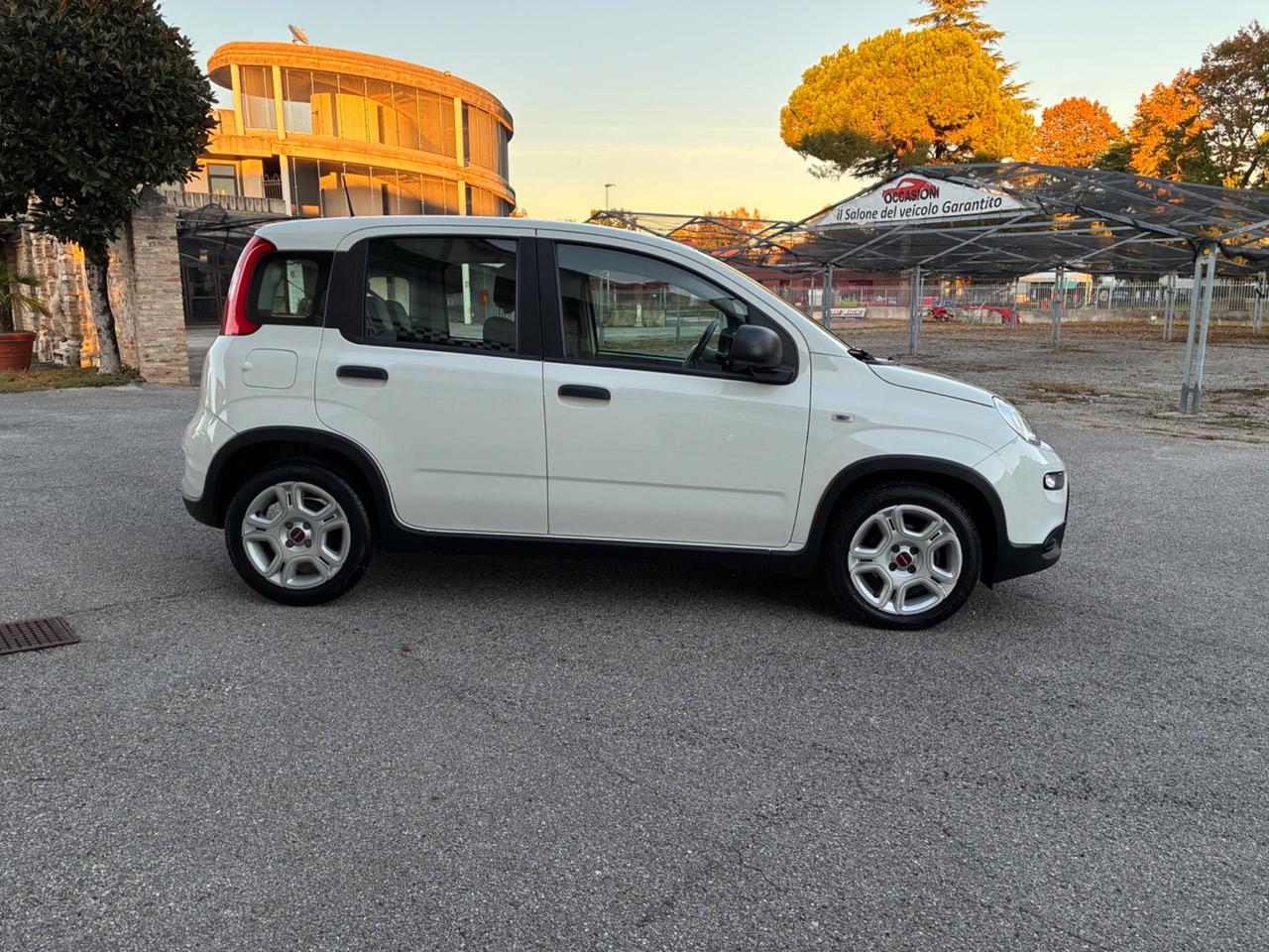 Fiat Panda 1.0 FIREFLY S&S HYBRID - SENSORI *PREZZO REALE*