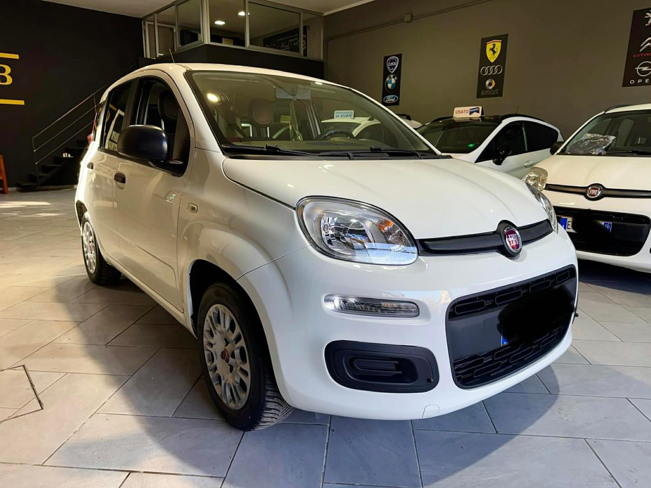 Fiat Panda 1.2 Easy GIOIELLINO DEL NORD ITALIA