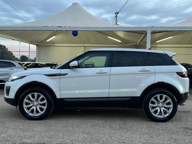 LAND ROVER Range Rover Evoque 2.0 TD4 150 CV 5p. Business Edition SE