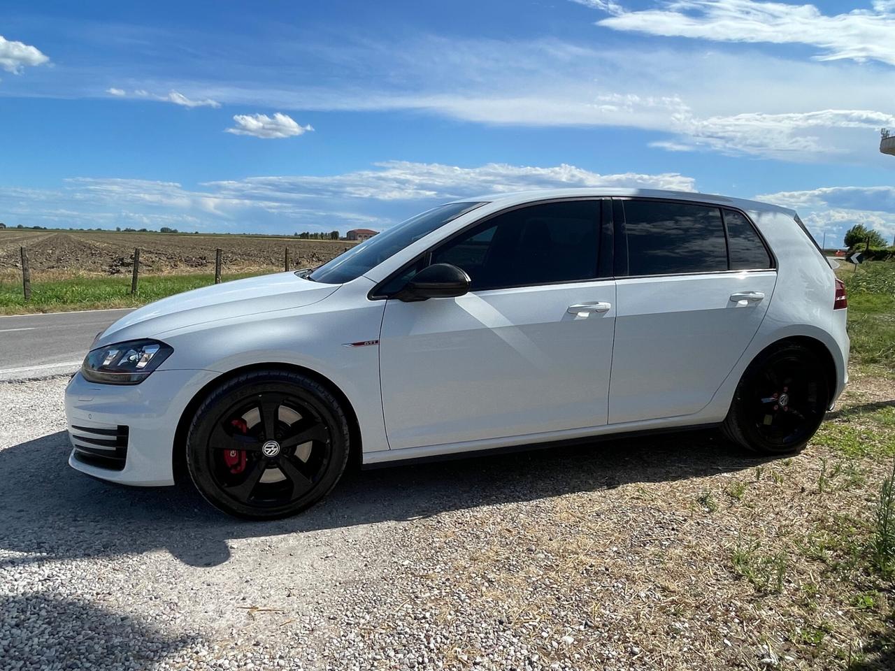 Volkswagen Golf GTI Golf GTI Performance 2.0 TSI 5p. BlueMotion Technology