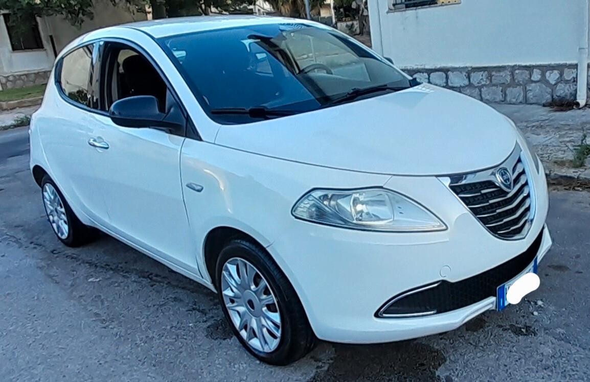 Lancia Ypsilon 1.3 MJT 16V 95 CV 5 porte S&S Platinum
