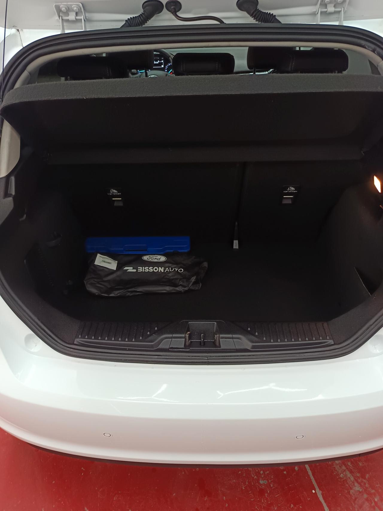 Ford Fiesta 1.5 EcoBlue 5 porte Titanium