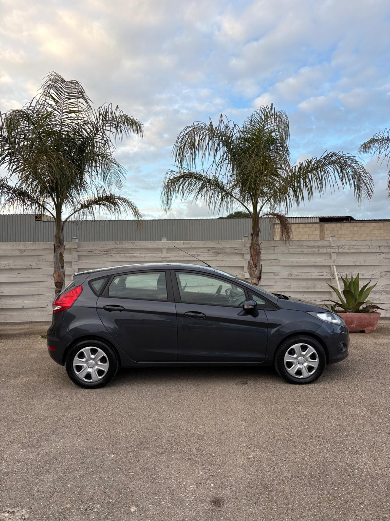 Ford Fiesta 1.4 TDCi 5p. - 2009