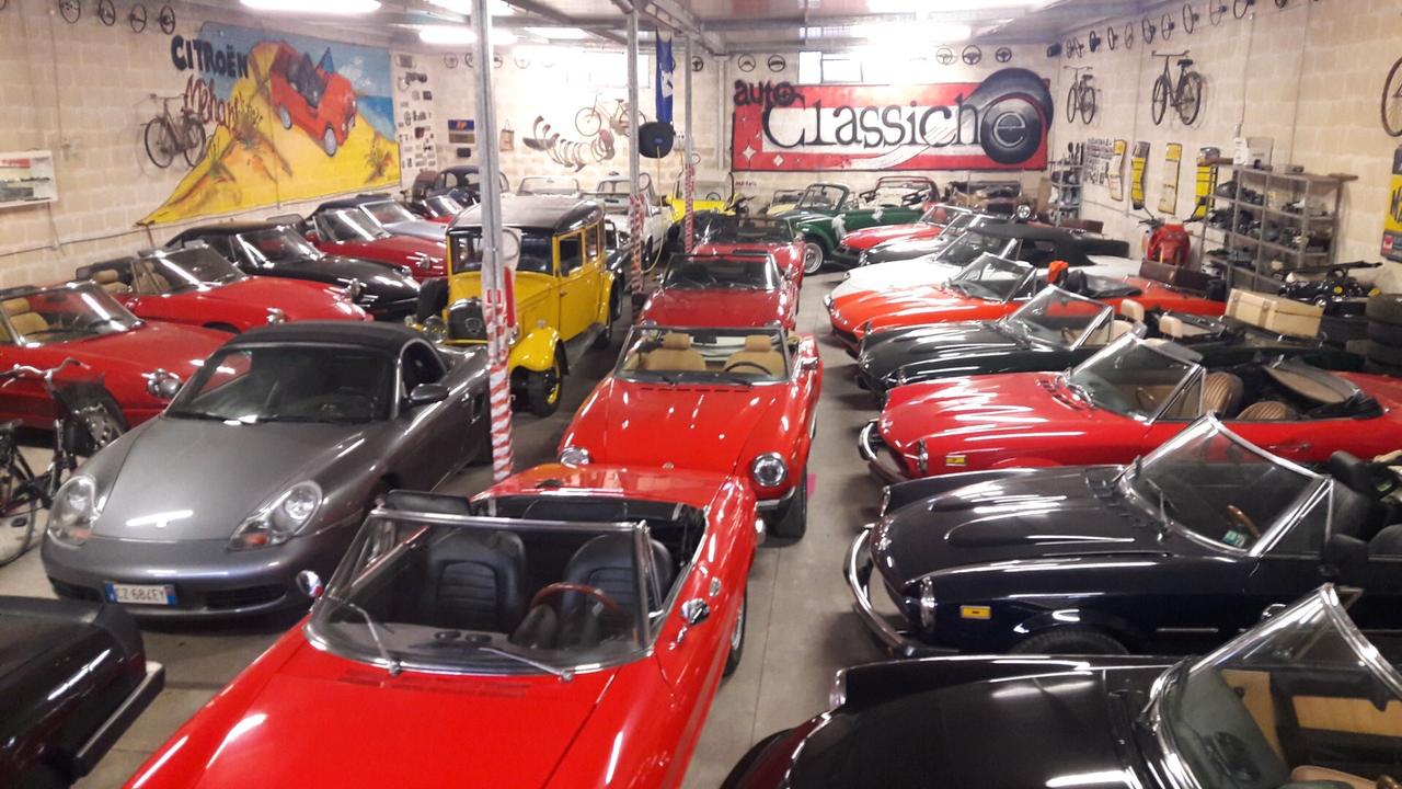 Mini 1000 HLE 1.0cc