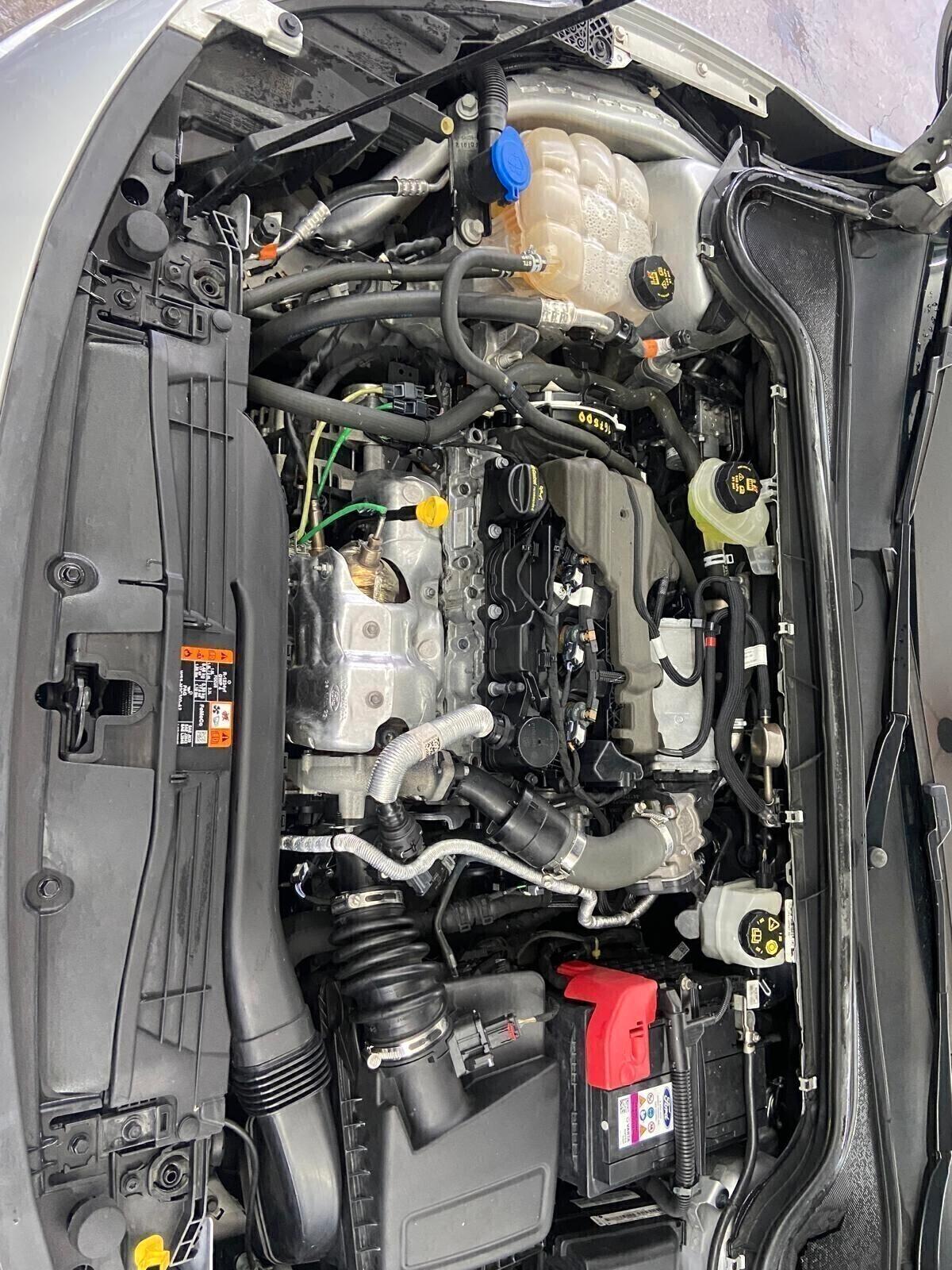 Ford Focus 1.5 EcoBlue 115 CV automatico SW Active Design