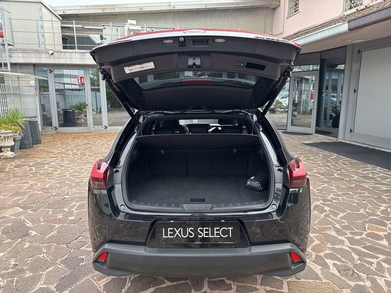 Lexus UX LEXUS UX 250 Hybrid Midnight