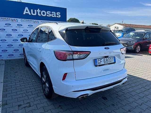 Ford Kuga 1.5 EcoBlue 120 CV 2WD ST-Line