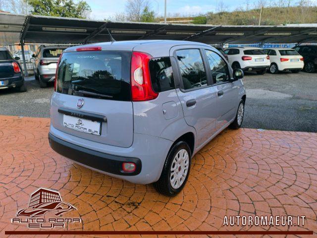 FIAT Panda 1.2 Easy TAGLIANDO+DISTIBUZIONE OK! GOMMATA!