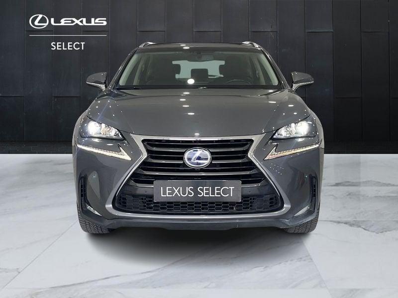 Lexus NX NX 300h 2.5 Executive 4wd cvt