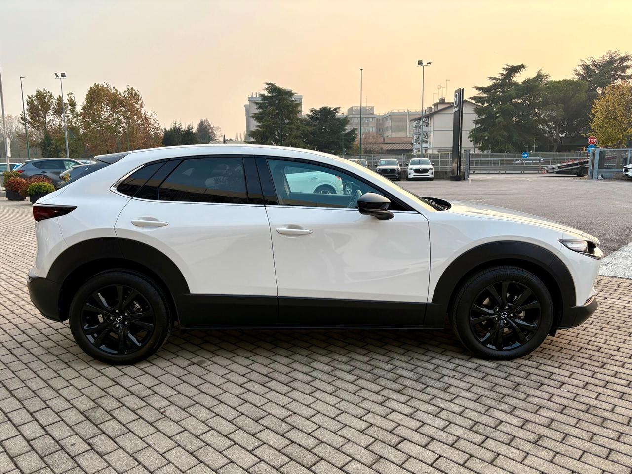 Mazda CX-30 2.0L e-Skyactiv-G 150 CV M Hybrid 2WD Homura