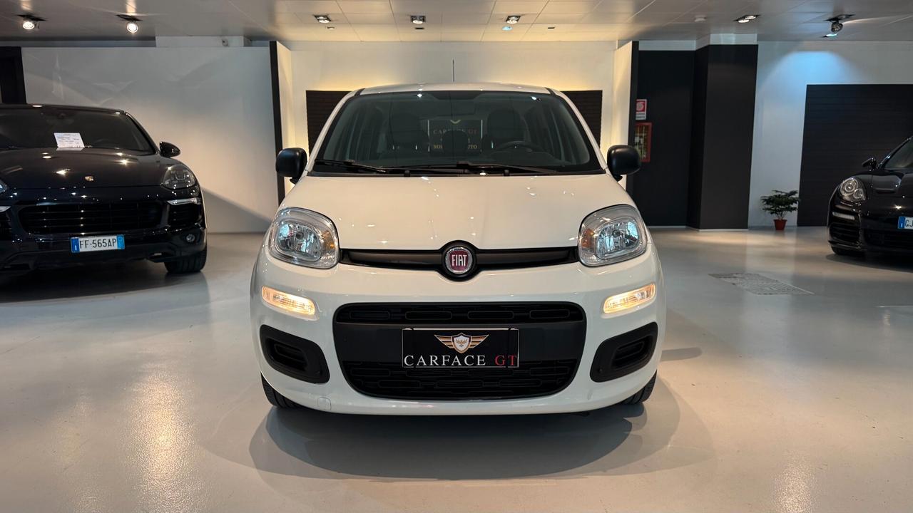FIAT PANDA 1.0 70CV - 2022