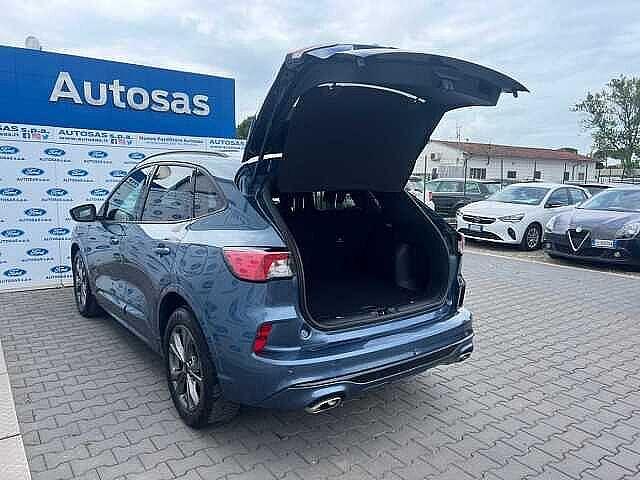 Ford Kuga 1.5 EcoBlue 120 CV 2WD ST-Line