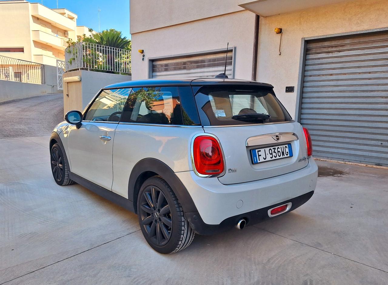Mini Mini 1.5 One D Hype