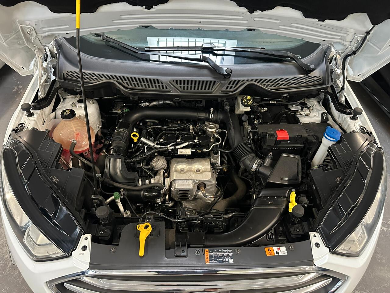 Ford EcoSport 1.0 EcoBoost 100 CV Titanium