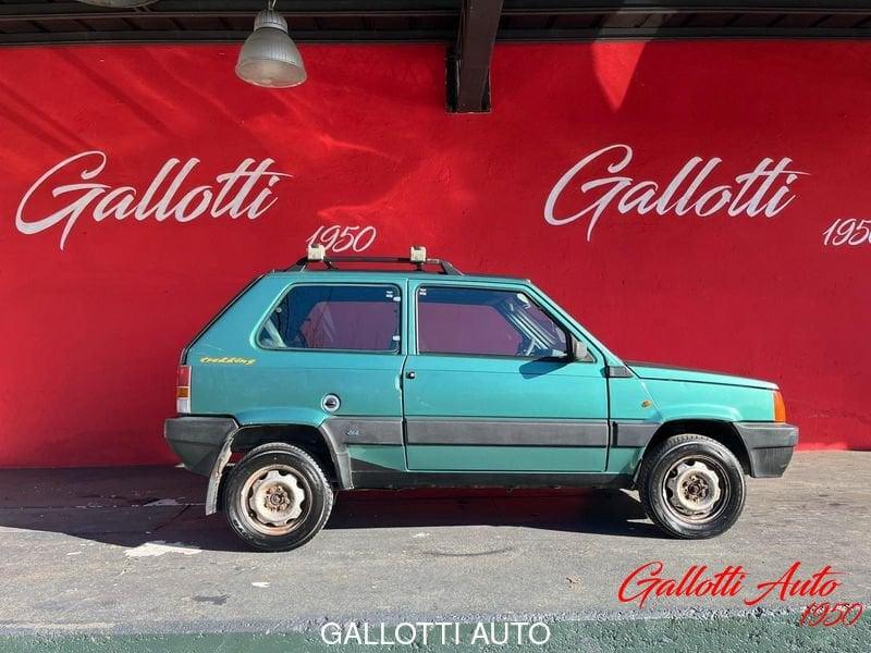 FIAT Panda 1.1 54 cv 4x4 benzina