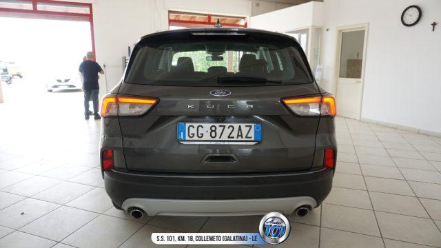 FORD Kuga 1.5 EcoBlue 120 CV aut. 2WD Titanium Business