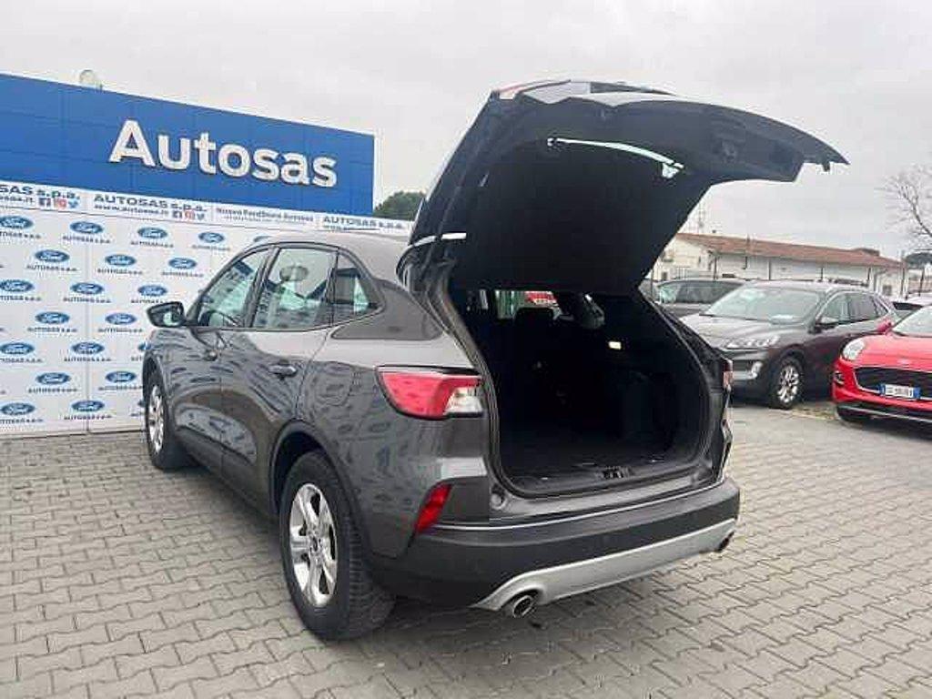 FORD Kuga 1.5 EcoBlue 120 CV 2WD Connect del 2021