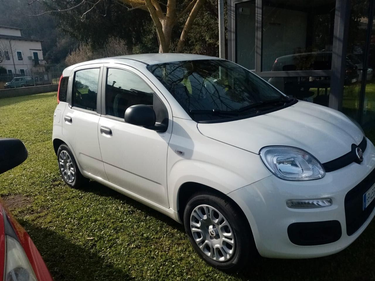 NOLEGGIO FIAT PANDA 1.0 FIREFLY SS HYBRID PANDINA