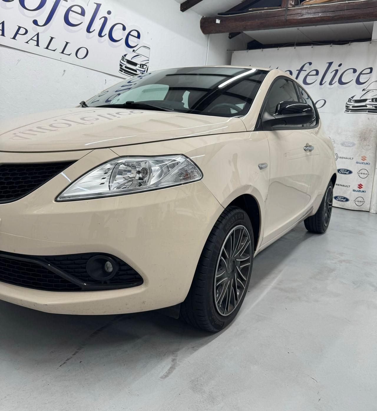 Lancia Ypsilon 1.2 69 CV 5 porte S&S Platinum