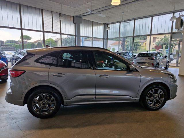FORD Kuga 1.5 EcoBoost 150 CV 2WD ST-Line