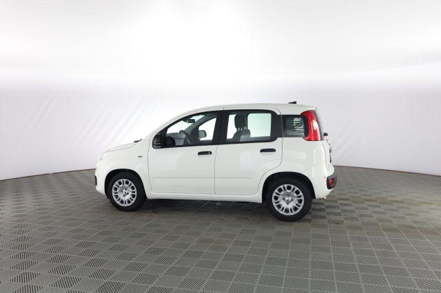 FIAT Panda Pandina 1.0 FireFly 65 CV Hybrid Icon