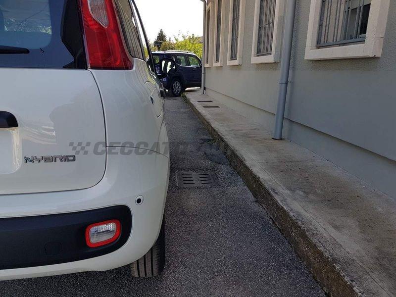 FIAT Panda Panda 1.0 firefly hybrid s&s 70cv