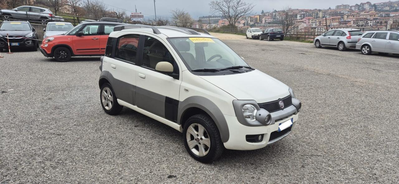 Fiat Panda 1.3 MJT 16V DPF 4x4 Cross - 2011