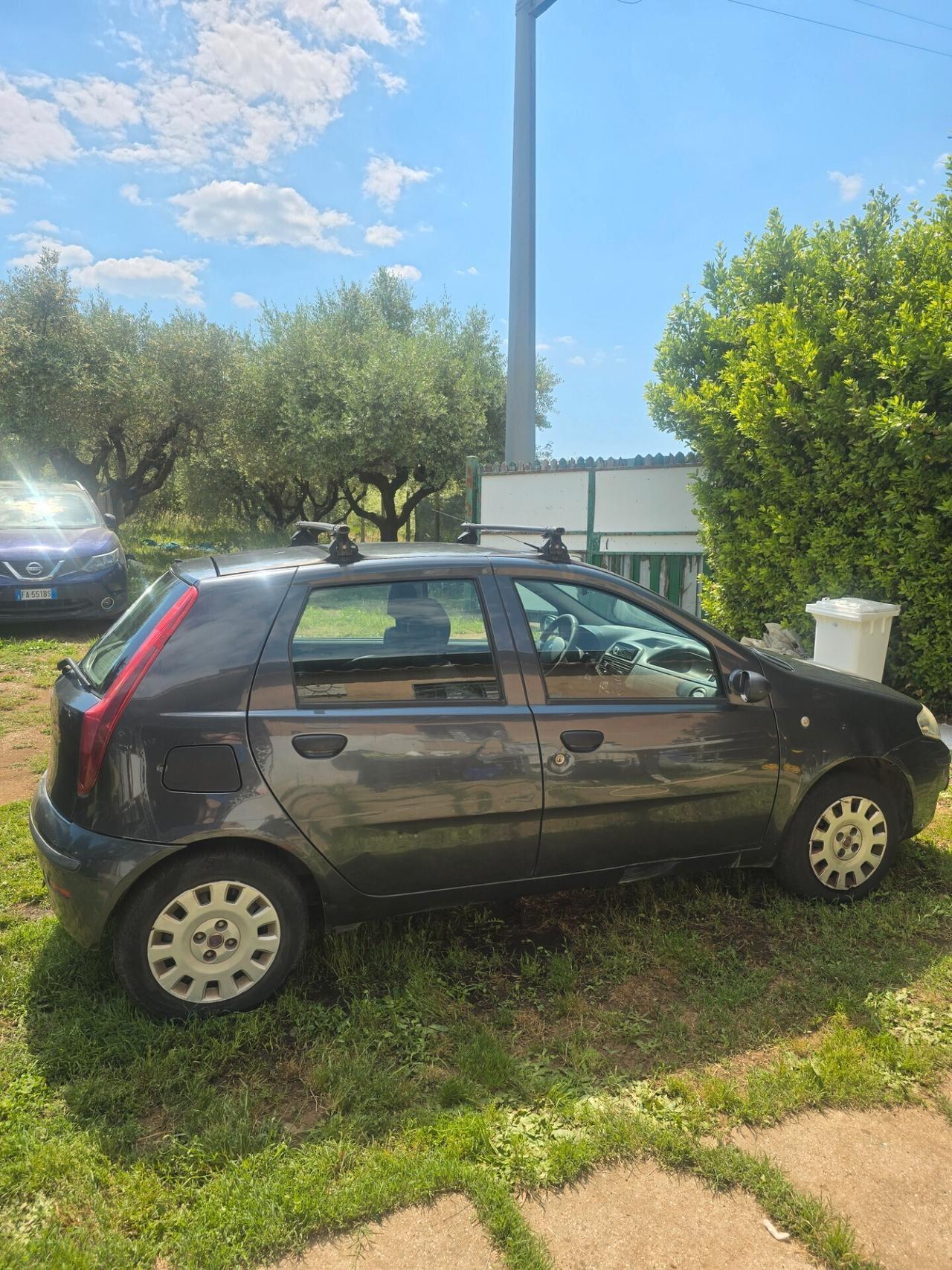 Fiat Punto Classic 1.2 5 porte Active GPL Unico Propietario Certificato