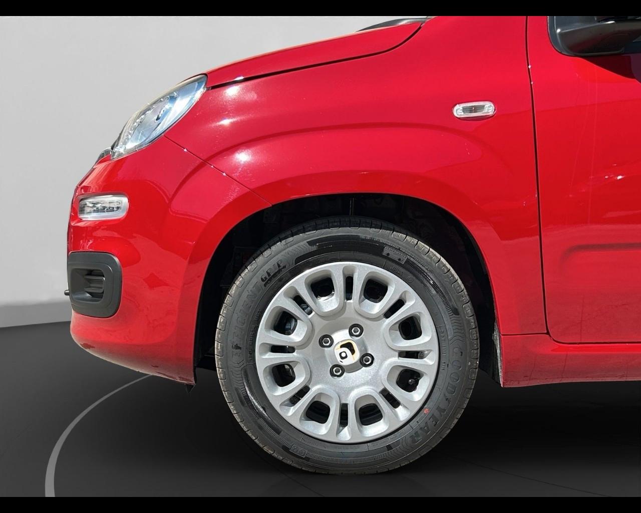 FIAT Panda My25 1.0 70cv Hybrid Panda