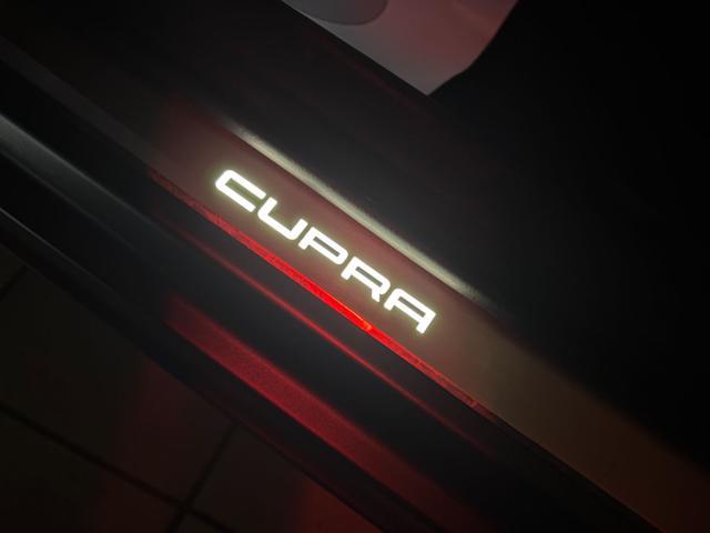 CUPRA Formentor 2.0 TDI 150 CV 4Drive DSG ''OPACA''