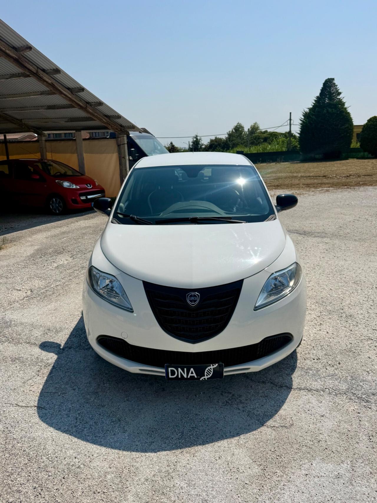 Ypsilon 1.2 benzina euro6B Unipro NEOPATENTATI