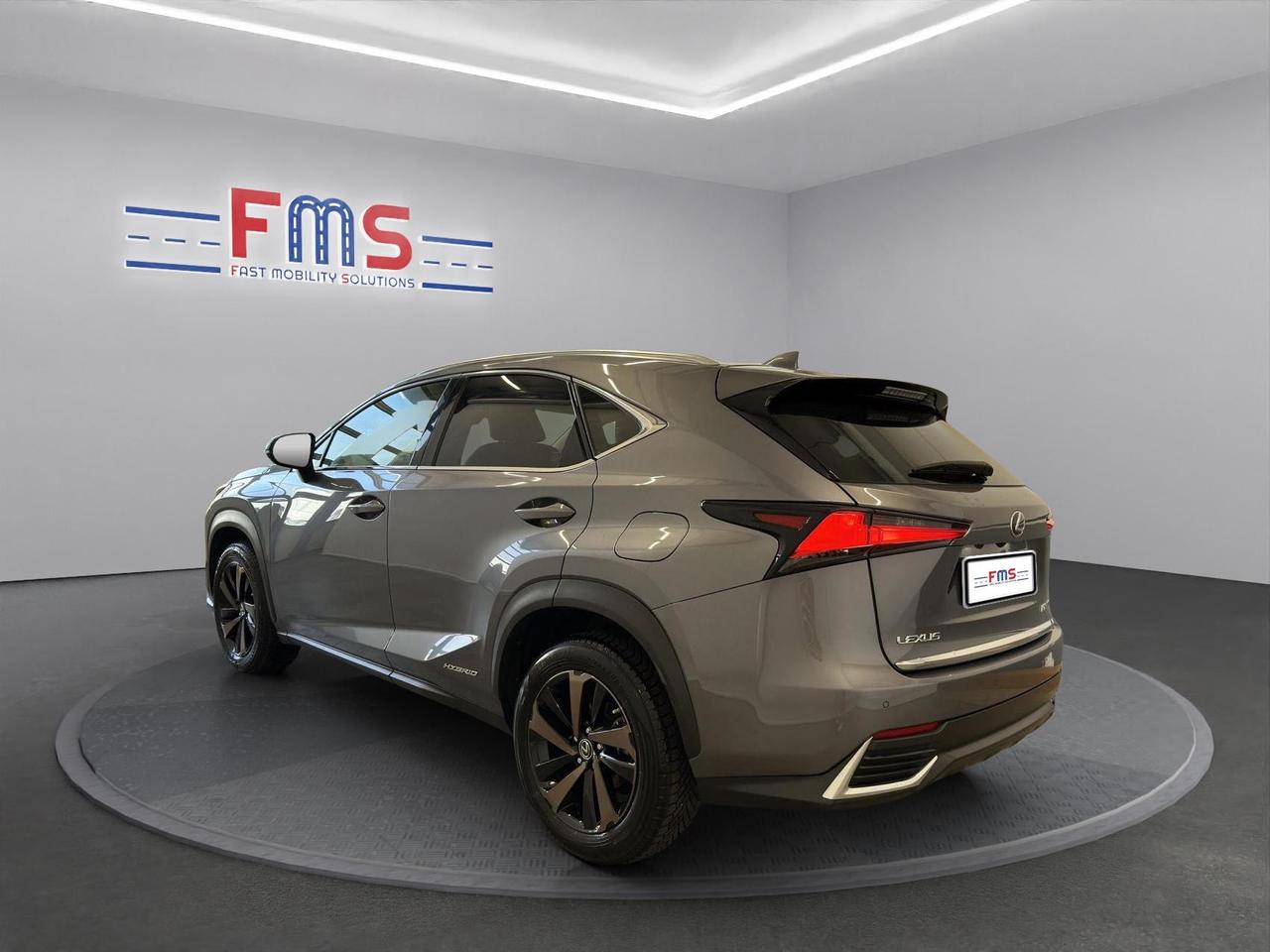 Lexus NX 300h 2.5 Premium 4wd cvt