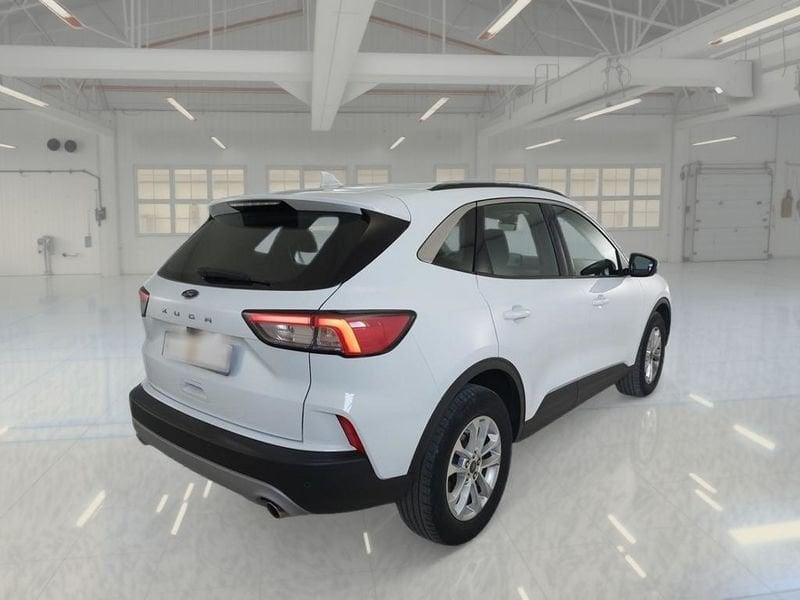 Ford Kuga Kuga 1.5 EcoBlue 120 CV aut. 2WD Titanium Business
