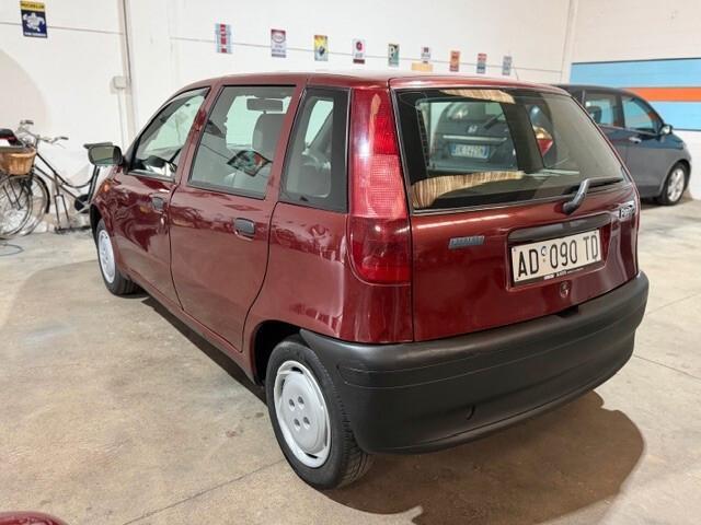 Fiat Punto 55 cat 5 porte S adatta a neopatentati